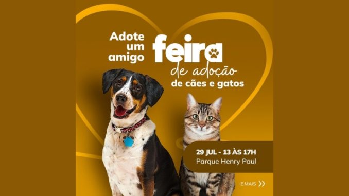 feira-de-adocao-timbo
