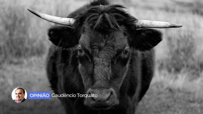 opiniao-gaudencio-torquato