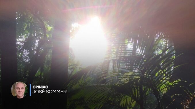 jose-sommer-sustentabilidade-meio-ambiente
