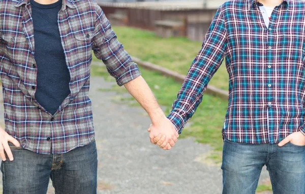 homoafetivos