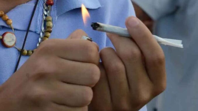maconha