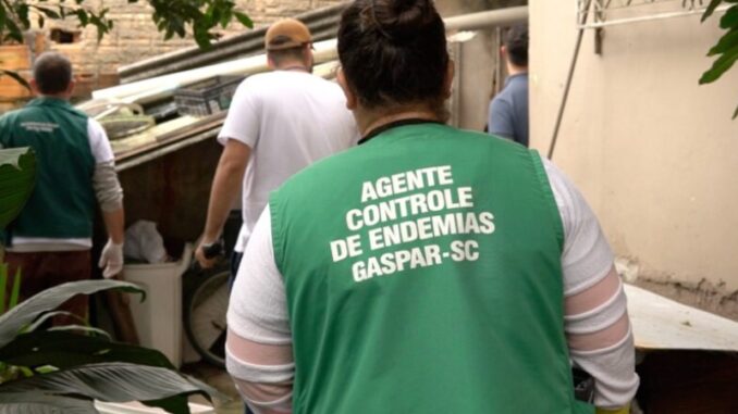 gaspar-dengue
