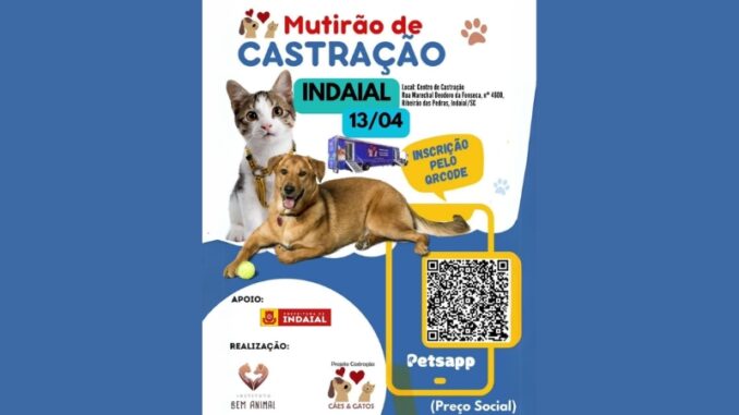 mutirão-castração