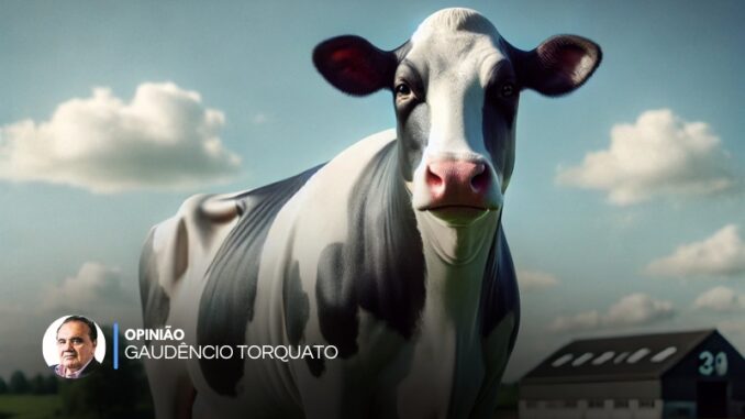 gaudencio-torquato