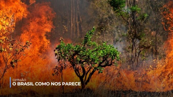 opiniao-o-brasil-como-nos-parece