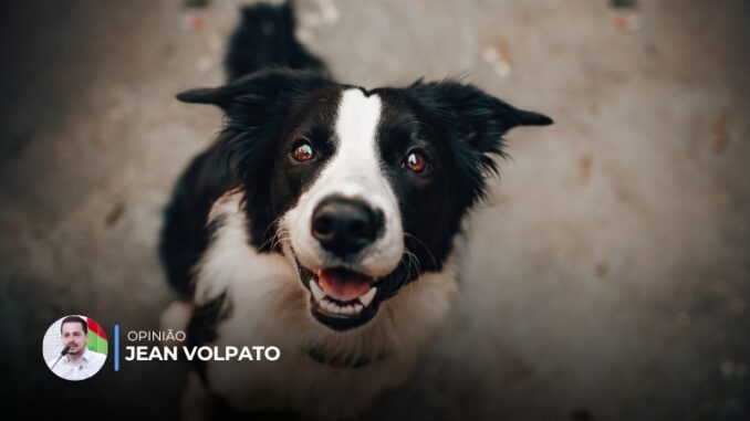 jean-volpato